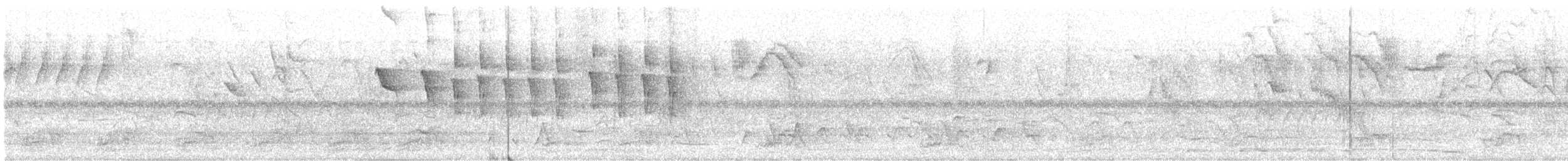 Gelbscheitelamazone - ML644527367