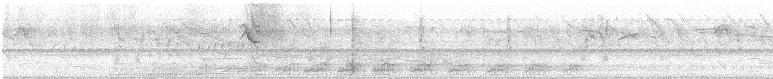 Gelbscheitelamazone - ML644527368