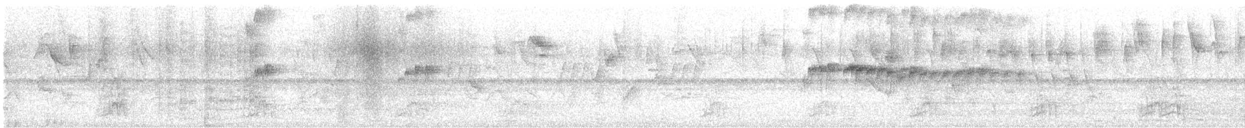 Gelbscheitelamazone - ML644527369