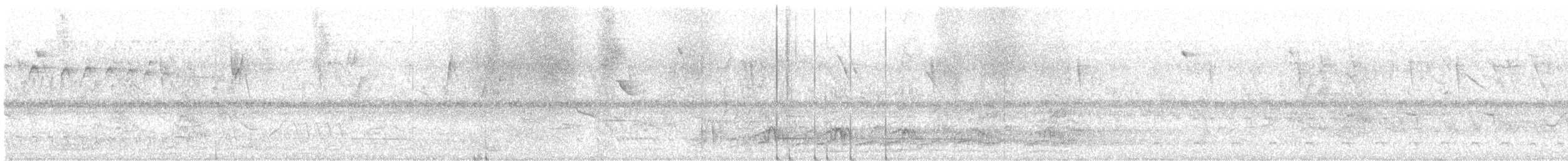 Gelbscheitelamazone - ML644527370