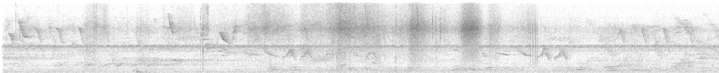 gulkroneamazon - ML644527371