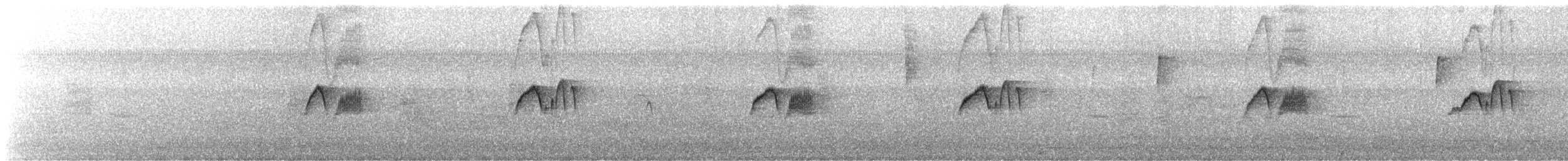 gråfibi - ML644527461