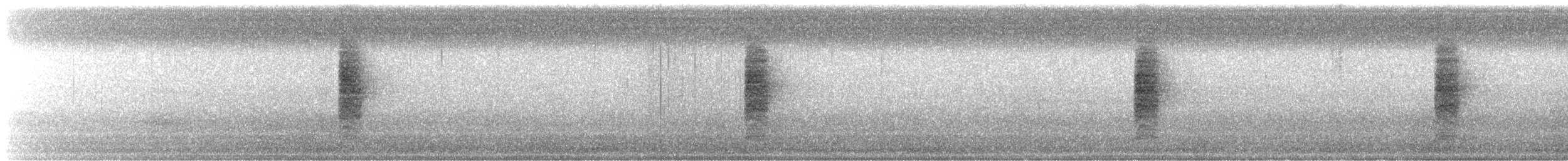 Bewick's Wren - ML644527540