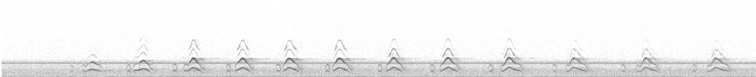 Mozolo arrunta - ML644527915