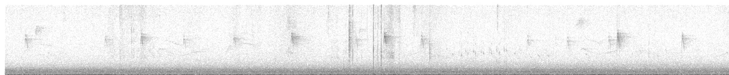 ハシナガヌマミソサザイ - ML644528550