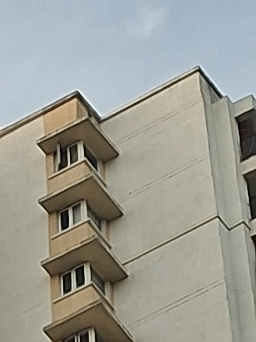 Gökdoğan - ML644528998