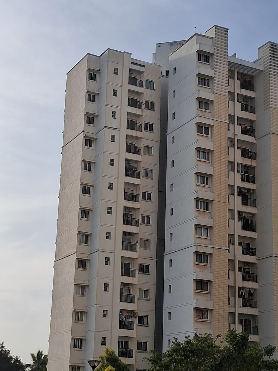 Gökdoğan - ML644529027