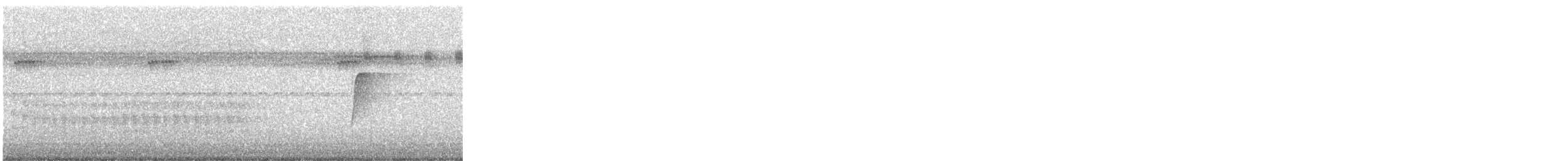 Northern Plain-Xenops - ML644529067