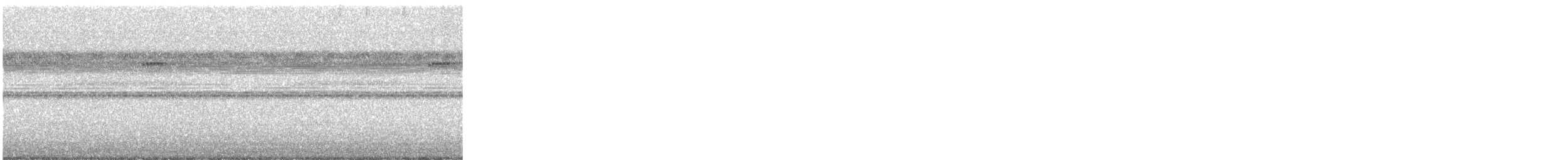 Choco Screech-Owl - ML644529318