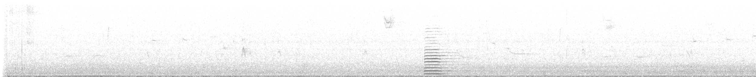 Trumpeter Swan - ML644529356