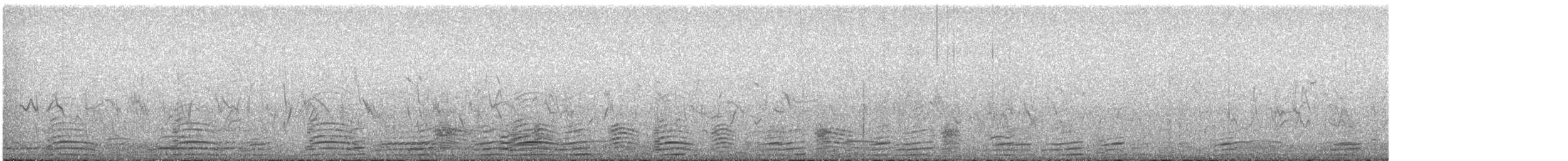 Ruddy Shelduck - ML644529879