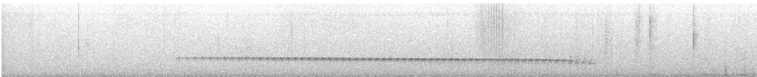 White-browed Antbird - ML644529973