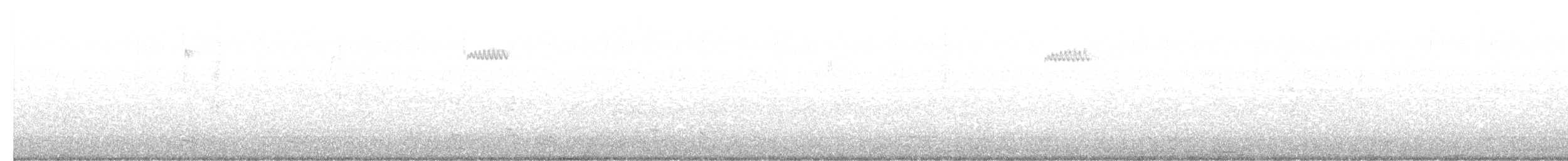 キバシリ - ML644529979