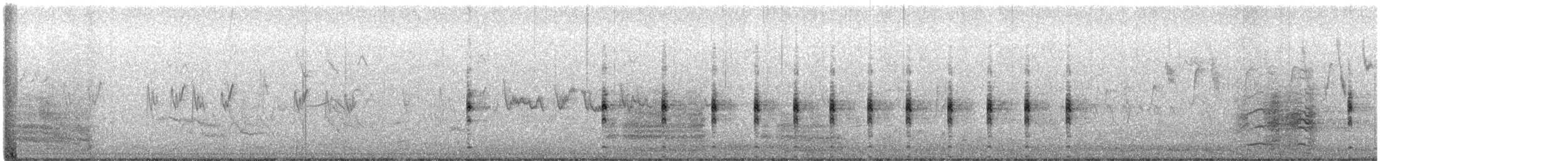 Lewin's Rail - ML644530056