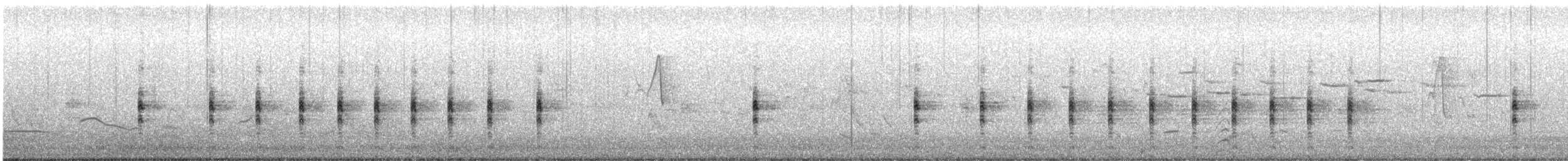 Lewin's Rail - ML644530057