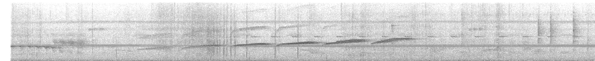 Xingu Scale-backed Antbird - ML644530101