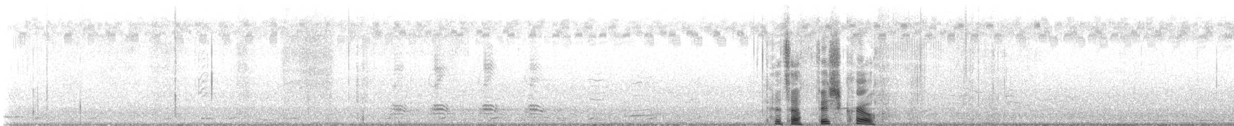 Corneille de rivage - ML644530180