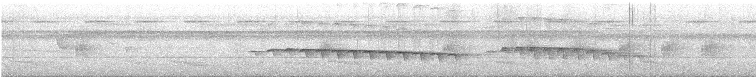 Black-faced Antbird - ML644530316