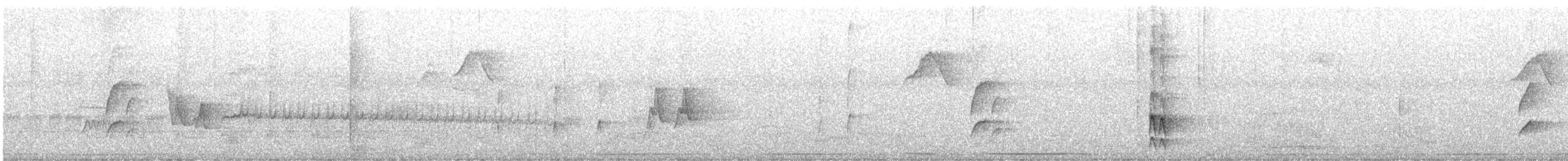 Stripe-necked Tody-Tyrant - ML644530456