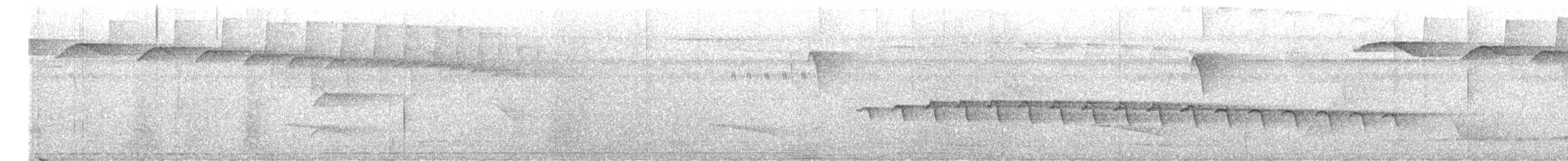 Black-faced Antbird - ML644531045