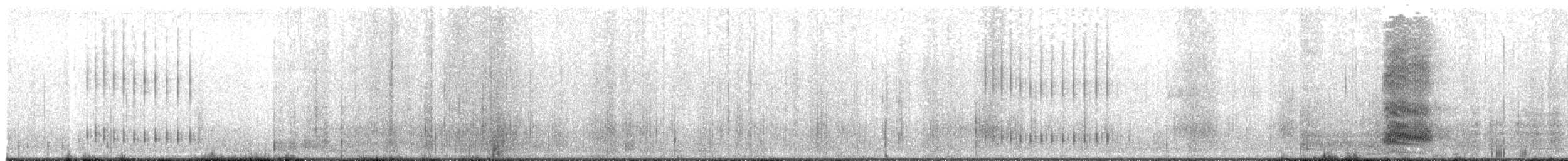 Corneille d'Amérique - ML644531530