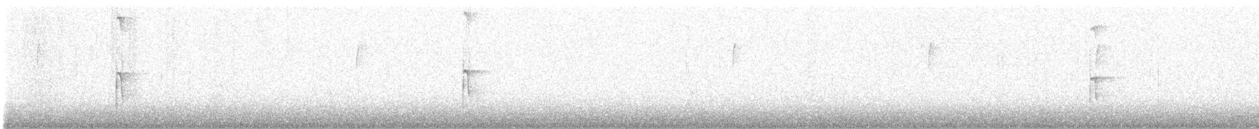 hårspett - ML644531682