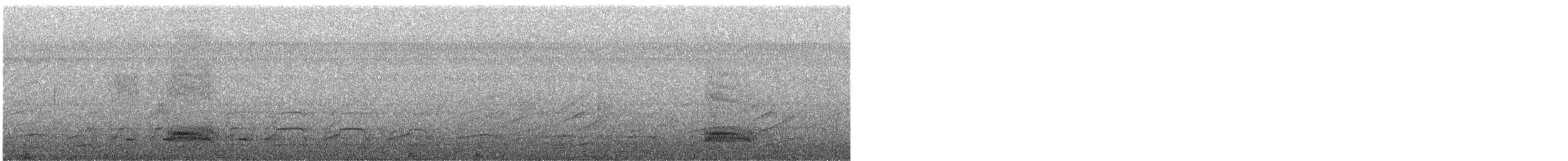 Corbeau familier - ML644532903