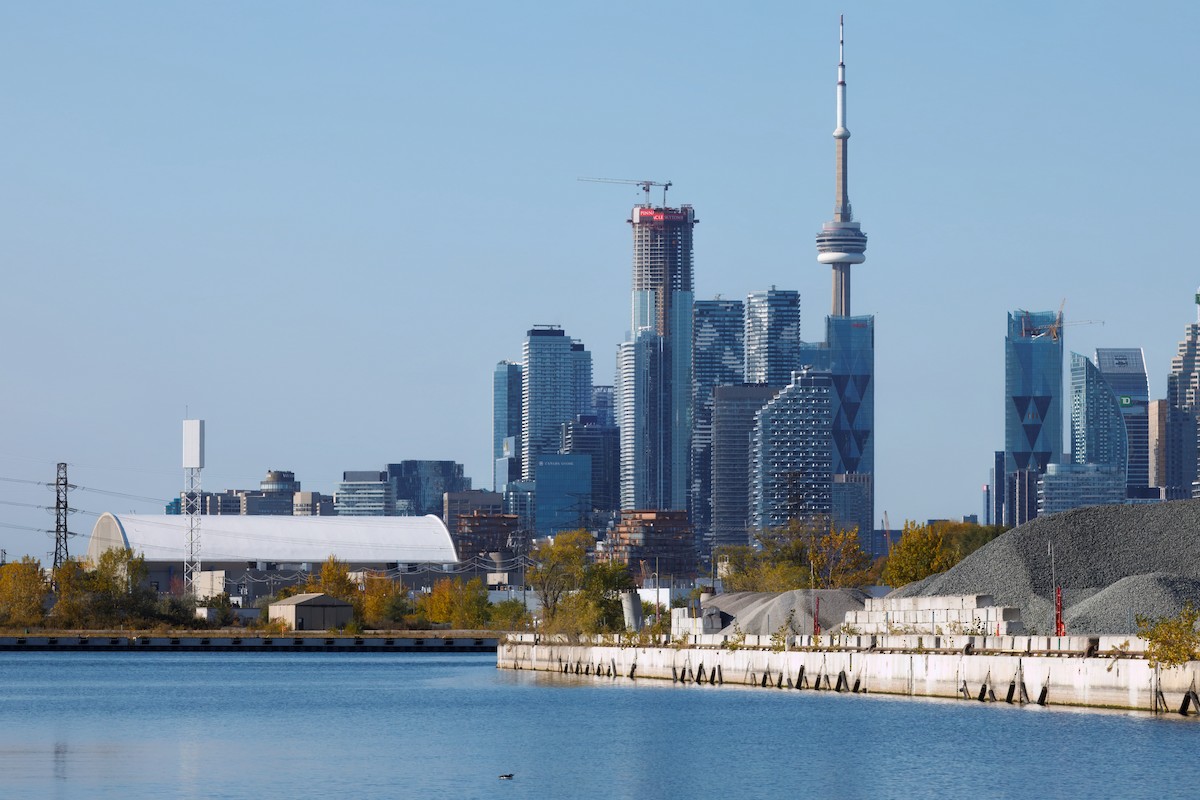 Gazza marina - ML644533242