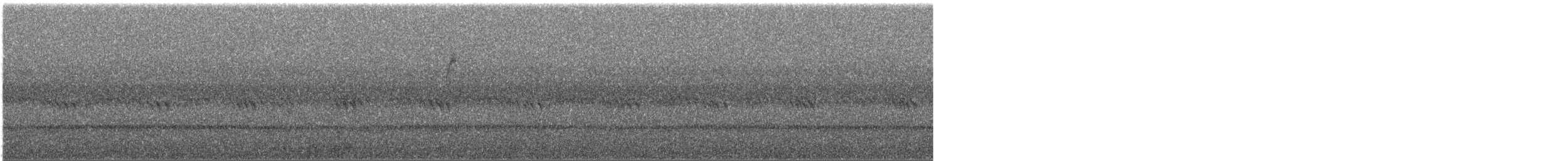 Paruline couronnée - ML644534114