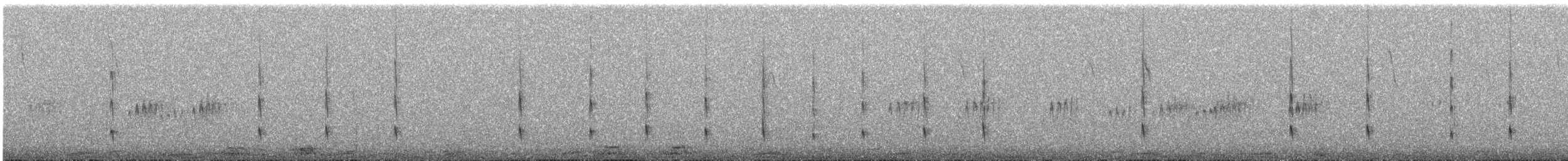 striperyggkurvfugl (sclateri gr.) - ML644534189