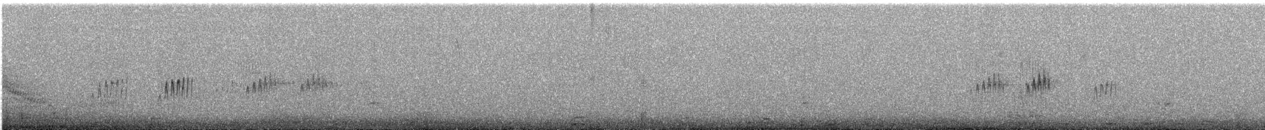 striperyggkurvfugl (sclateri gr.) - ML644534190