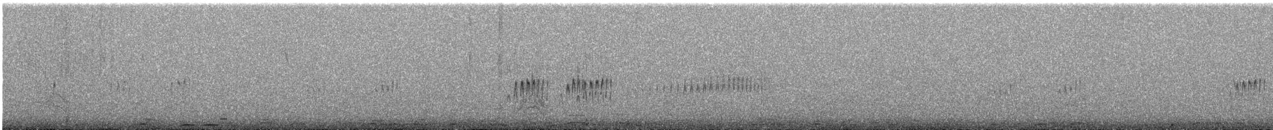 striperyggkurvfugl (sclateri gr.) - ML644534191