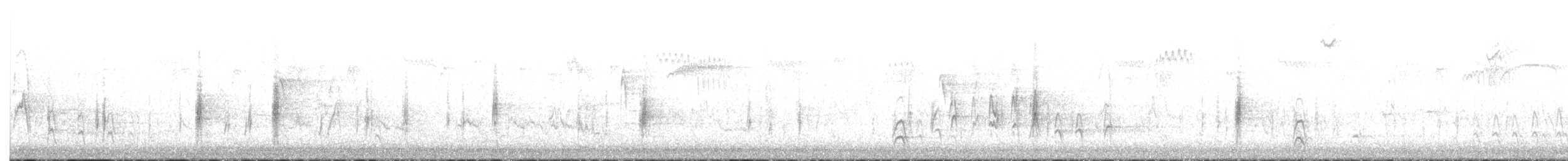 קיכלי נודד - ML644534571