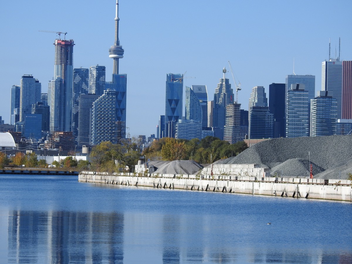 alka malá - ML644534936