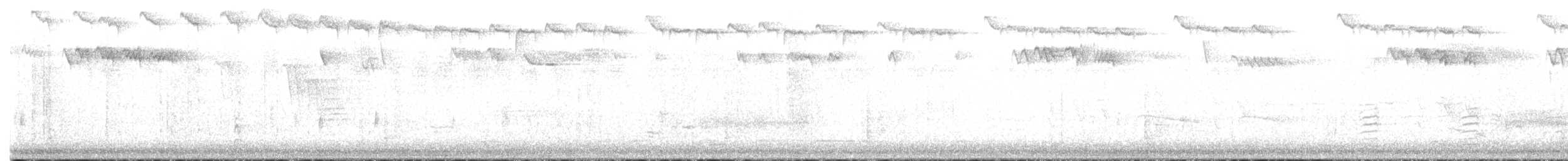 Erregetxo amerikarra - ML644535142