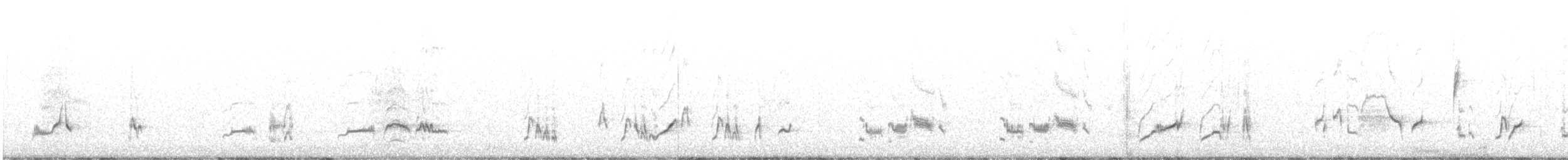 LeConte's Thrasher - ML644536287