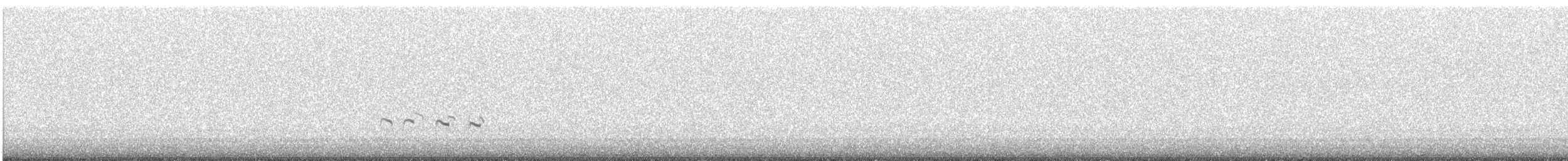 Greater Yellowlegs - ML644536331