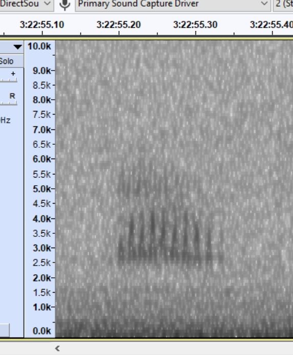 Dickcissel - ML644536385