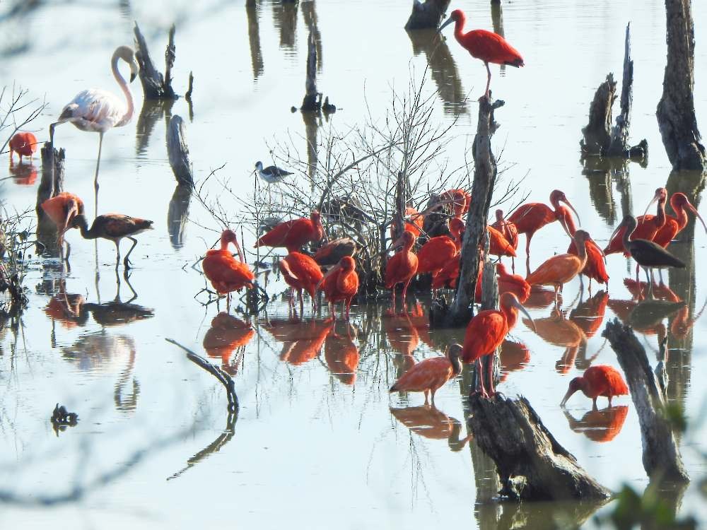 Al Aynak - ML644537008