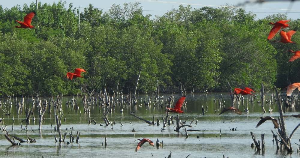 Al Aynak - ML644537152