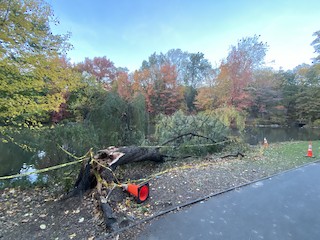 Central Park, New York, New York, United States - eBird Hotspot