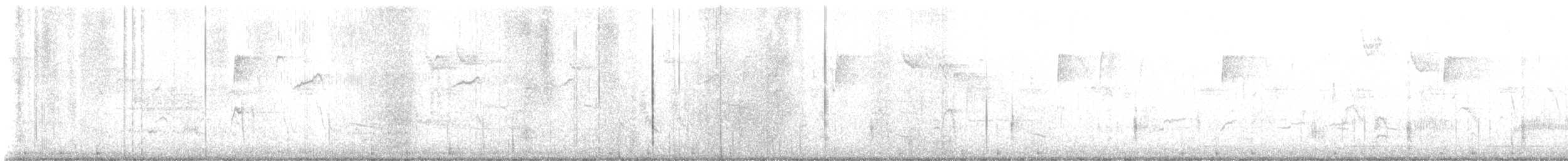 קיכלי נודד - ML644537526