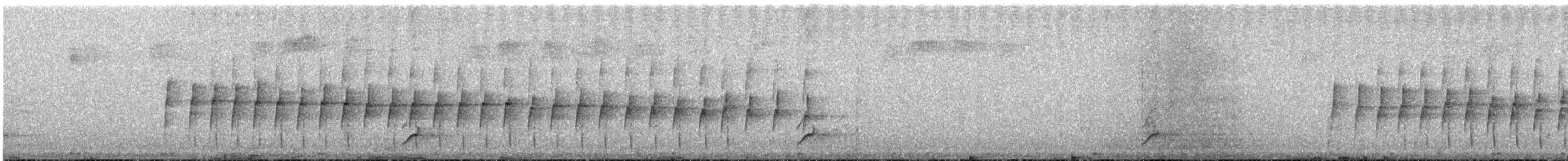 フタスジタイランチョウ - ML644537730