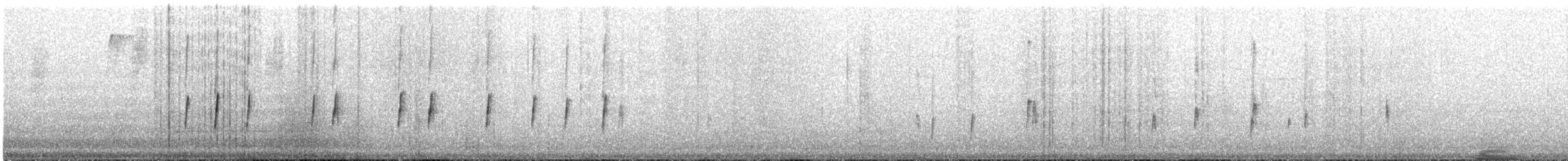 フタスジタイランチョウ - ML644538154