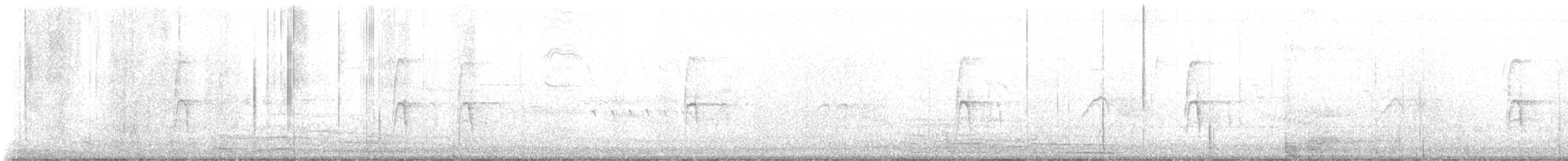 American Robin - ML644538194