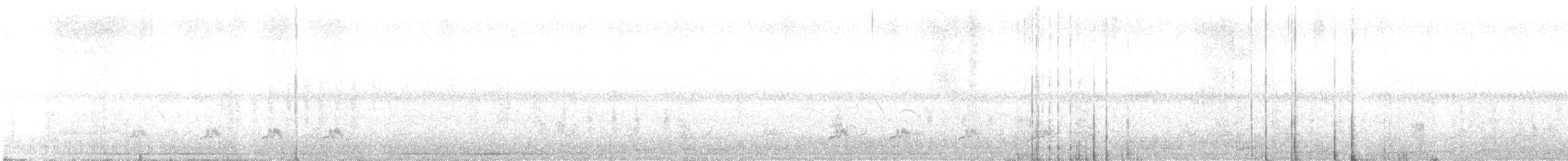 שרקרק מצוי - ML644538206