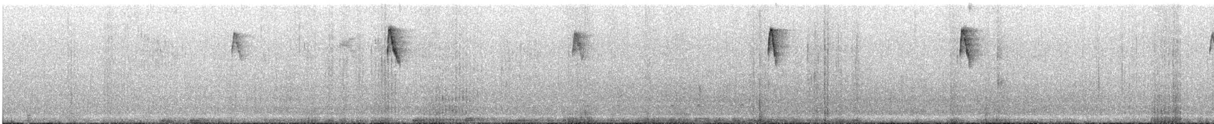 Mountain Velvetbreast - ML644538526