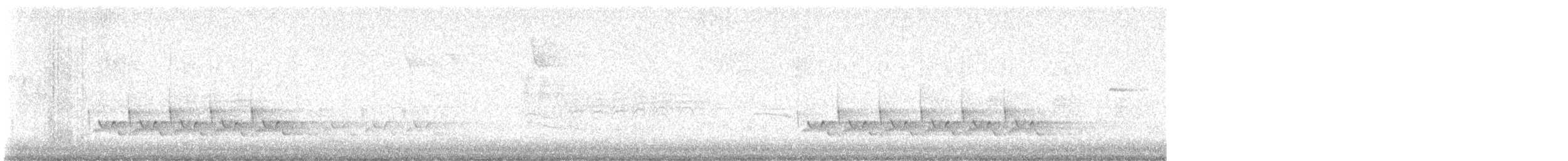 Carolina Wren - ML644538664