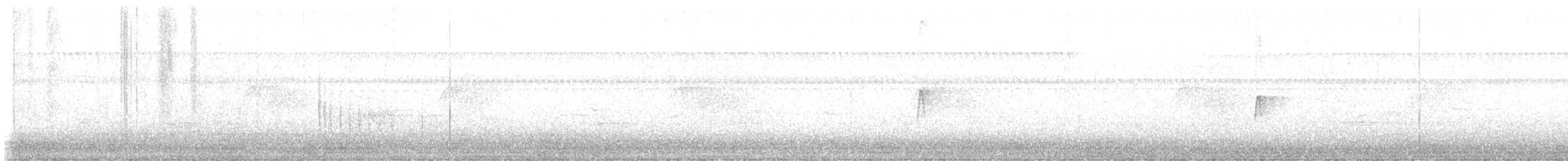 Belted Kingfisher - ML644538875