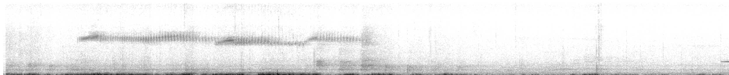 White-tipped Swift - ML644538945